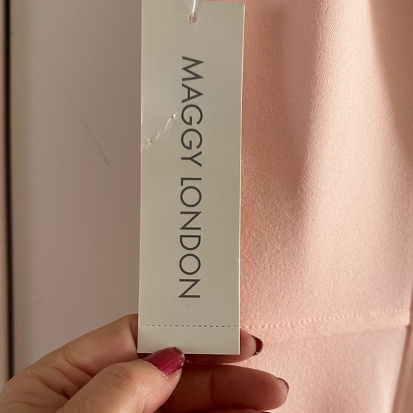 Maggy London Elegant blush Pink illusion sheath Dress - Picture 7 of 8